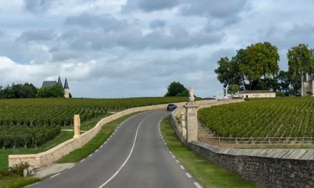 Les bases du vin français : Classification des vins selon les Français