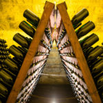 L'art du champagne français : comment déguster le vin le plus luxueux du monde